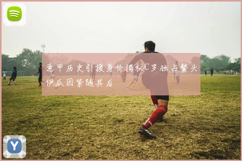 意甲历史引援身价揭秘C罗独占鳌头伊瓜因紧随其后